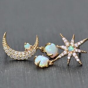 Moon and Star Earrings #2372